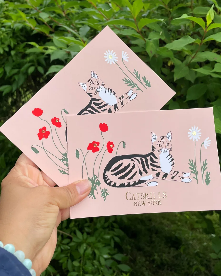 Two pink postcards with drawn tabby cats and red poppies, held up against a green hedge.