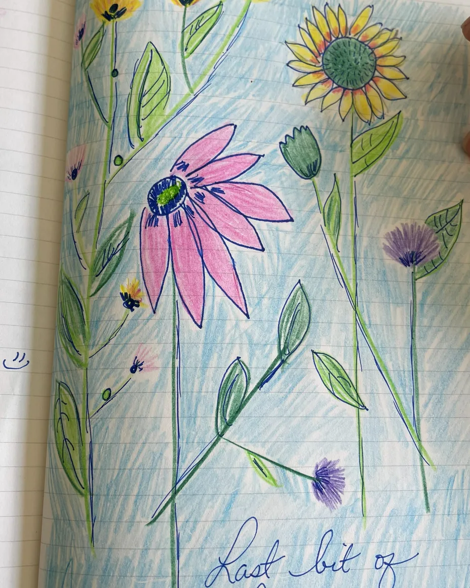 A notebook page of her colored-pencil wildflowers, a sunflower and a pink coneflower, 'Last bit of summer' written below.